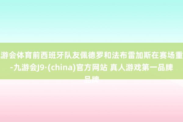 九游会体育前西班牙队友佩德罗和法布雷加斯在赛场重逢-九游会J9·(china)官方网站 真人游戏第一品牌