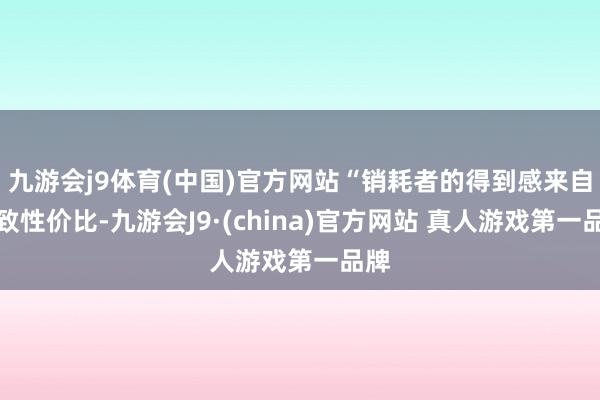 九游会j9体育(中国)官方网站“销耗者的得到感来自极致性价比-九游会J9·(china)官方网站 真人游戏第一品牌