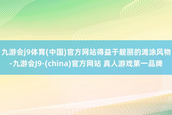 九游会j9体育(中国)官方网站　　得益于靓丽的滩涂风物-九游会J9·(china)官方网站 真人游戏第一品牌